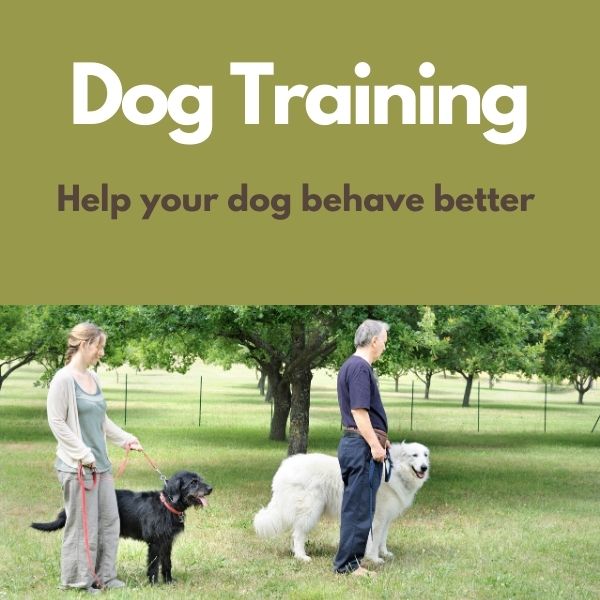 Cotswold Pet Supplies Dog Collars and Harnesses, Dog Food